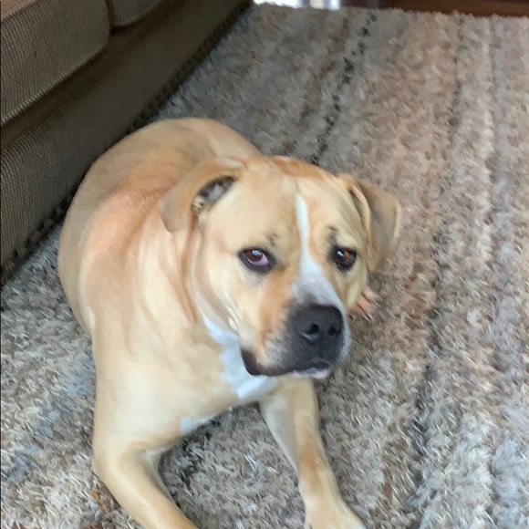 Meet your Posher, Tammy - Picture 1 of 1